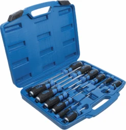 BGS Schraubendreher-Satz | Mit 6,3 Mm (1/4") Innenvierkant | 12-tlg. – 7896 -Werkzeug Store 7896 002