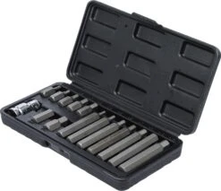 BGS DIY Bit-Satz | Antrieb Außensechskant 10 Mm (3/8") | 15-tlg. – 5070 -Werkzeug Store bgs 5070 002