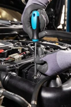 HAZET Schraubendreher-Satz 810/2 -Werkzeug Store hazet 810 2 010