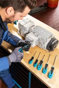 HAZET Schraubendreher-Satz 810/2 -Werkzeug Store hazet 810 2 012